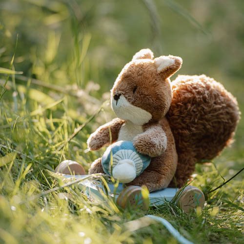 Arrastre ardilla Forest friends