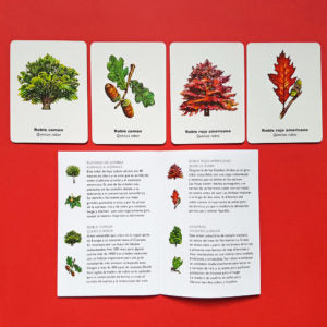 Encuentra la hoja -juego de memoria