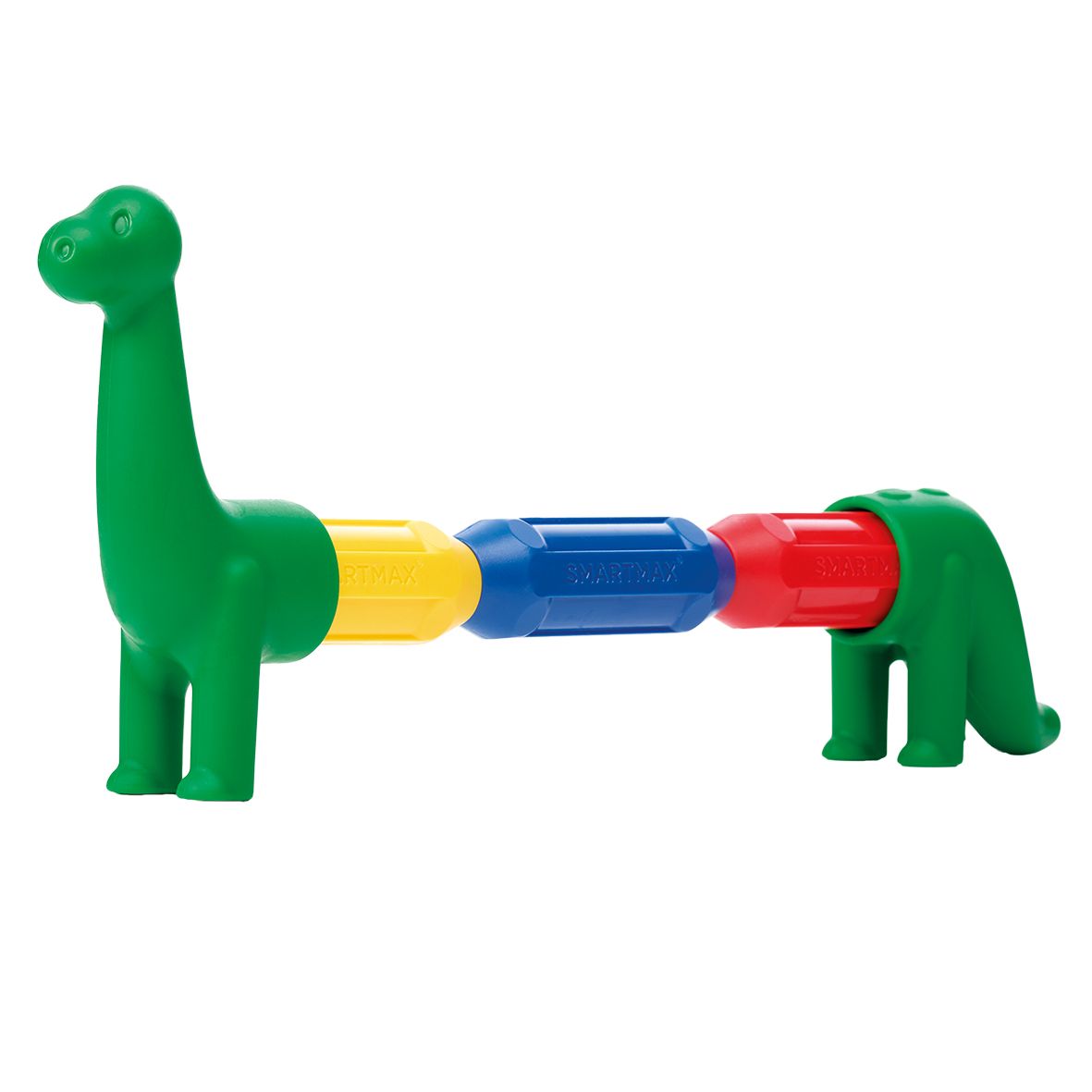 My first Dinosaurs