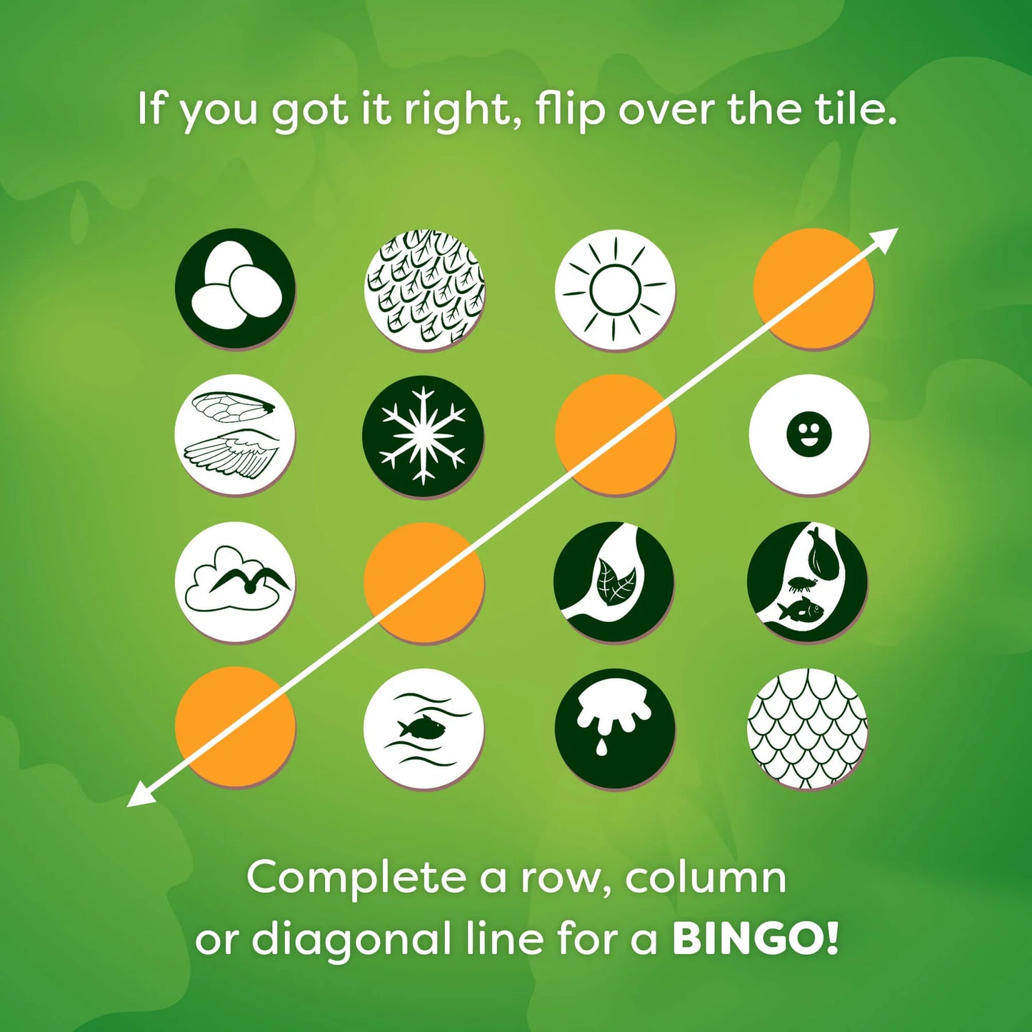 Bingo Animals Around the World – Juego educativo de animales