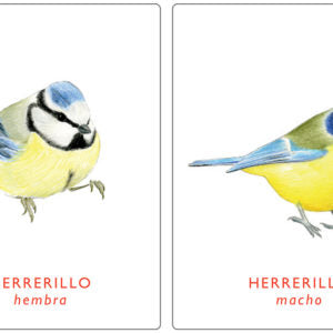 Un par de aves