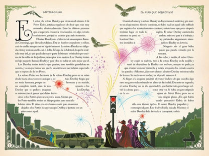 Harry Potter y la piedra filosofal (Edición MinaLima)