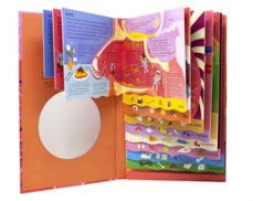 Vamos a ver el cuerpo humano