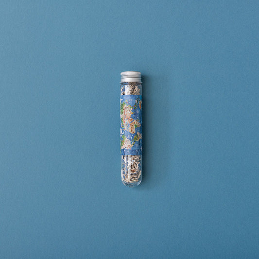 Micropuzzle Discover the world – Puzzle educativo infantil