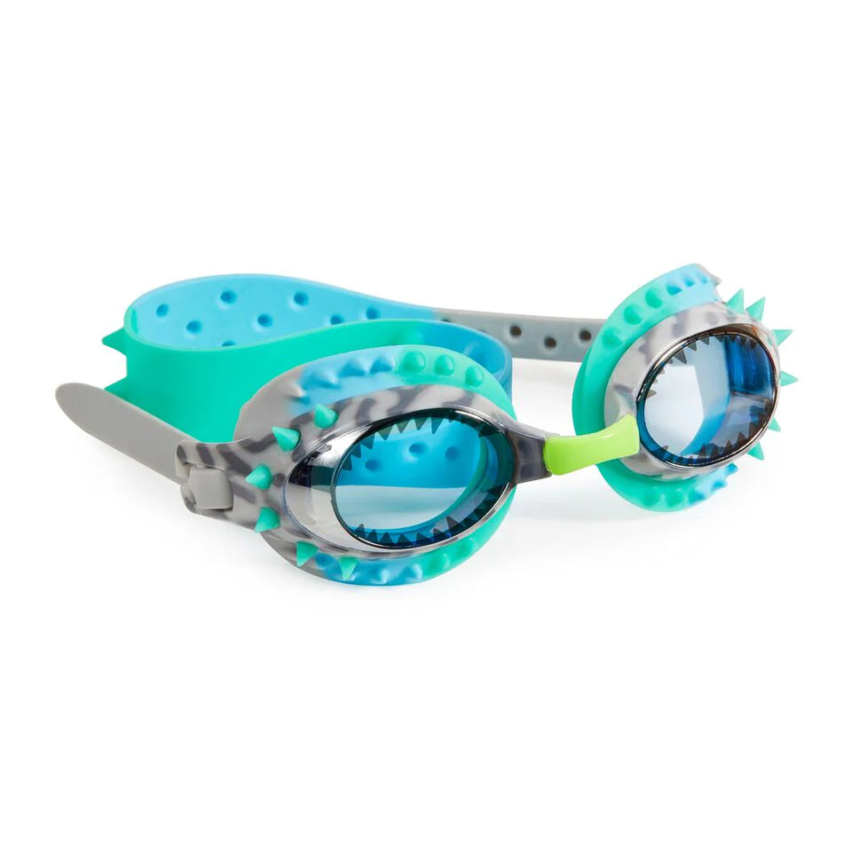 Gafas de natación Raptor Blue Grey