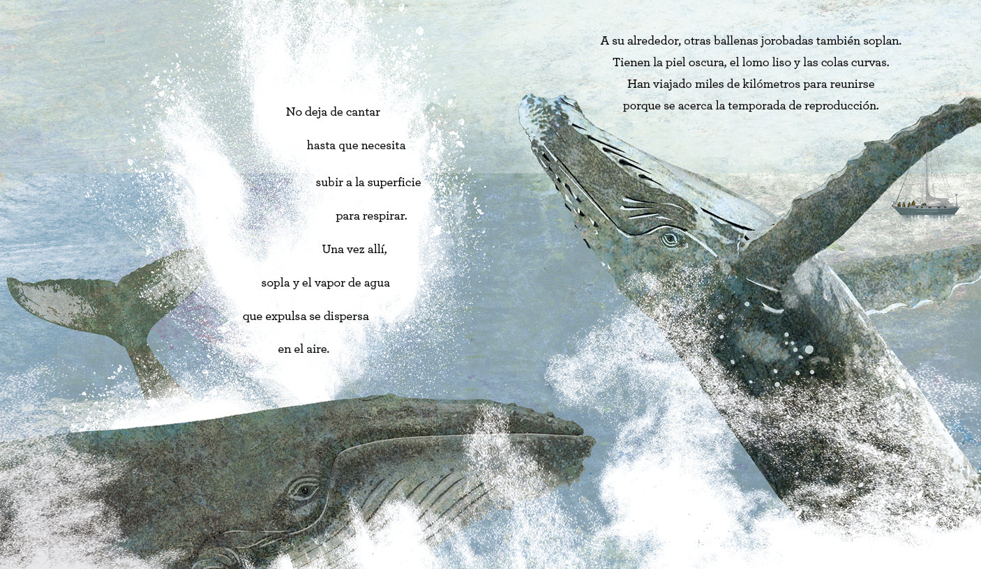 El canto de las ballenas – Álbum ilustrado infantil - Librería Educania