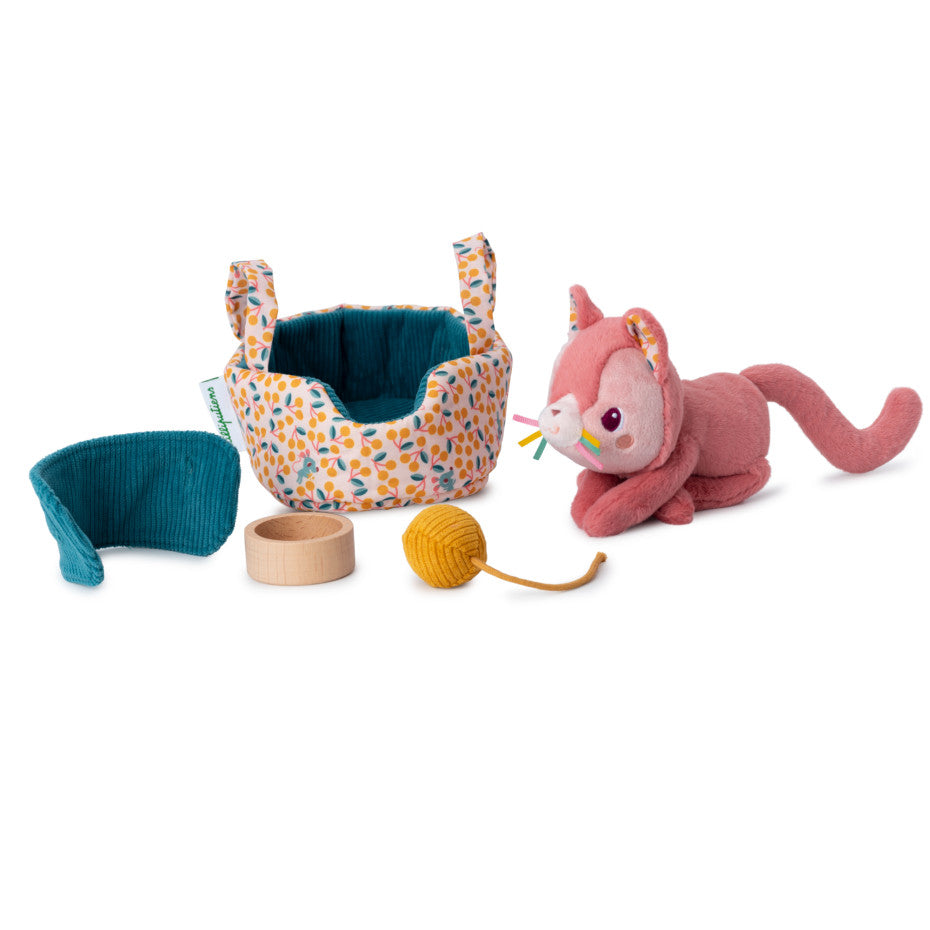 Jeanne el gato y su cesta